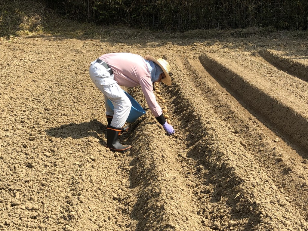 〜福岡　週末農業（第9回目作業）〜　秋冬野菜の苗＆種植え