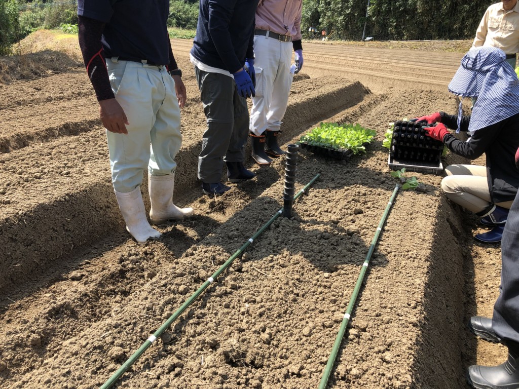 〜福岡　週末農業（第9回目作業）〜　秋冬野菜の苗＆種植え