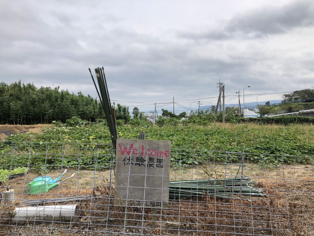 〜福岡　週末農業（第10回目作業）〜７種類の野菜とマルチ張り