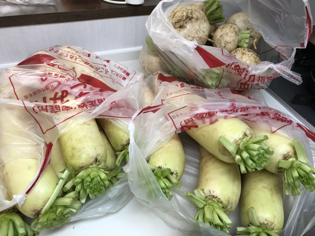 〜福岡　週末農業（第14回目作業）〜サツマイモ・大根・白カブ・葉物野菜の収穫祭
