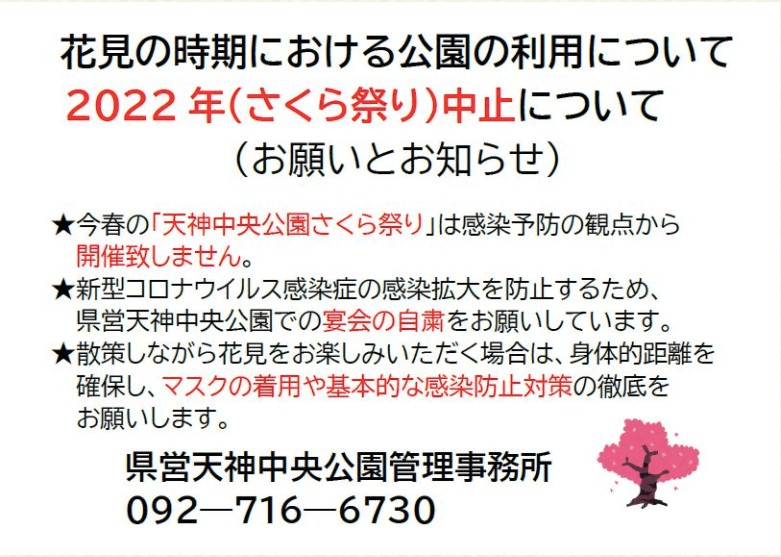 22年 天神中央公園のお花見予約は